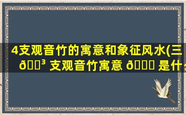 4支观音竹的寓意和象征风水(三 🌳 支观音竹寓意 🐅 是什么意思)